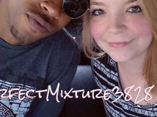 PerfectMixture3828