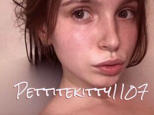 Pettitekitty1107