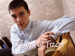 PlayfulTroy