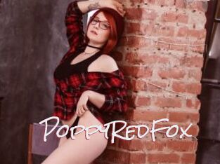 PoppyRedFox