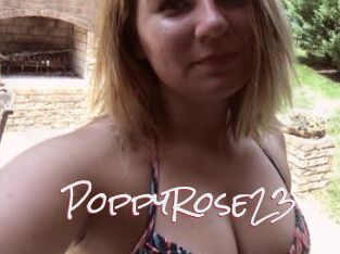 PoppyRose23