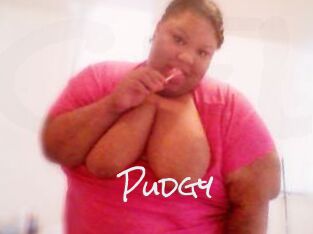 Pudgy