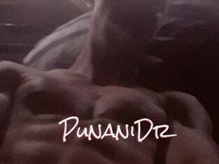 PunaniDr