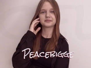 Peacebigge