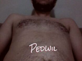 Pedwil
