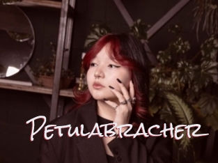 Petulabracher