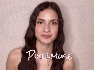 Pixelmuse