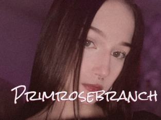 Primrosebranch