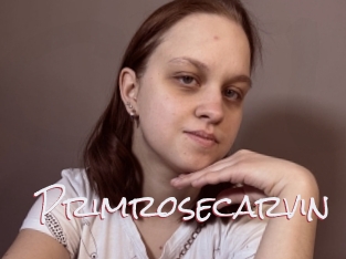Primrosecarvin