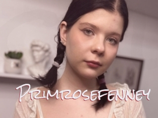 Primrosefenney