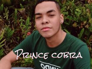Prince_cobra