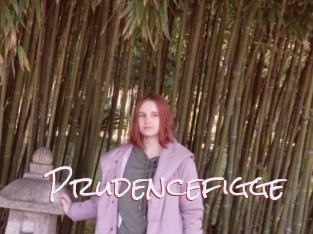 Prudencefigge
