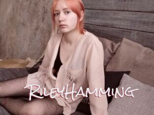 RileyHamming