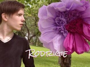 Rodrigie