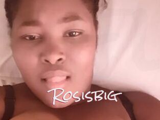 Rosisbig