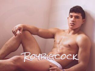 Roybigcock