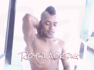 royblackbig Celiba Club