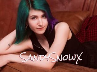 SandySnowX