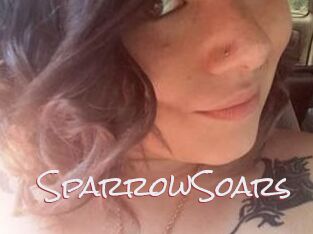 SparrowSoars