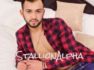 StallionAlpha