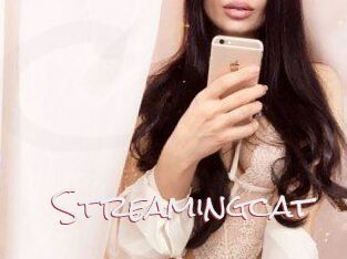 Streamingcat