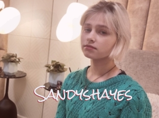 Sandyshayes