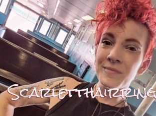 Scarletthairring