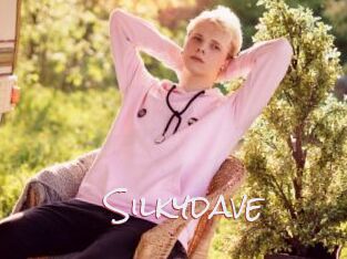 Silkydave