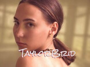 TaylorBrid
