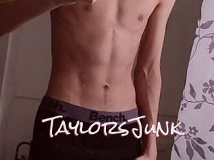 TaylorsJunk