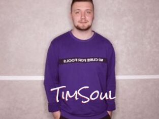 TimSoul