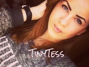 TinyTess
