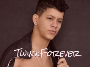 TwinkForever