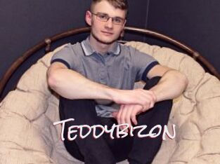 Teddybizon