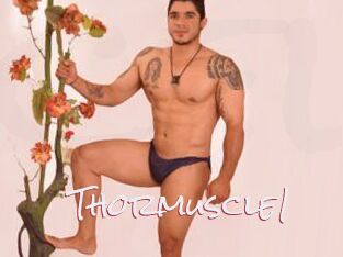 Thormuscle1