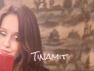 Tinamit