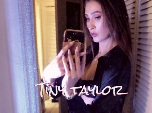 Tiny_taylor