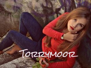 Torrymoor