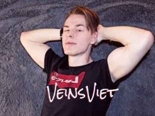 VeinsViet