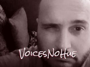 VoicesNoHue