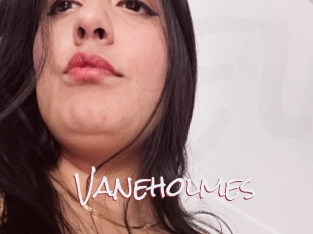 Vaneholmes