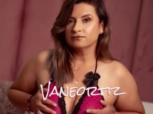 Vaneortiz