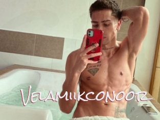 Velamiikconoor