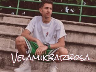 Velamikbarbosa