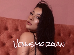 Venusmorgan