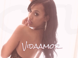 Vidaamor