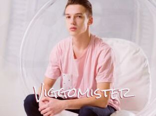 Viggomister