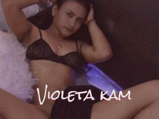 Violeta_kam