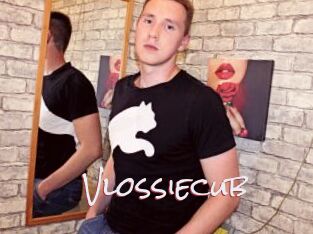 Vlossiecub