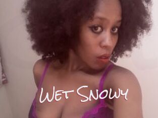 Wet_Snowy